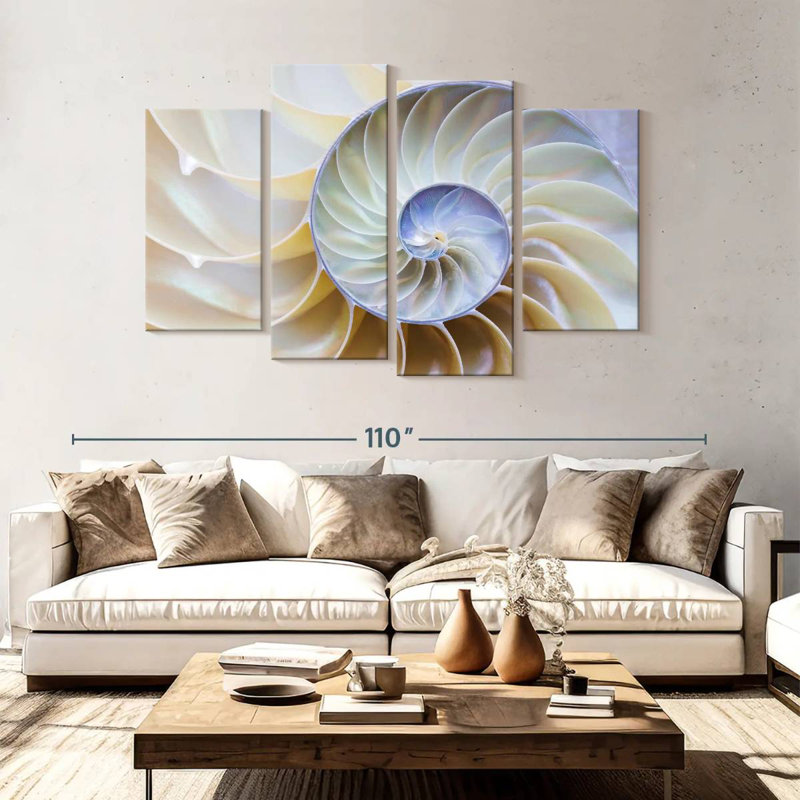 Empty Nautilus Shell, 54" H x 84" W