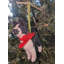 Arcadia Home Boston Terrier Hand-Knit Ornament
