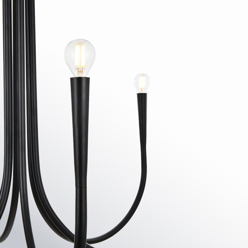 Catalena 6-Light Chandelier, Noir, H 24,5 po x l 36 po x P 36 po