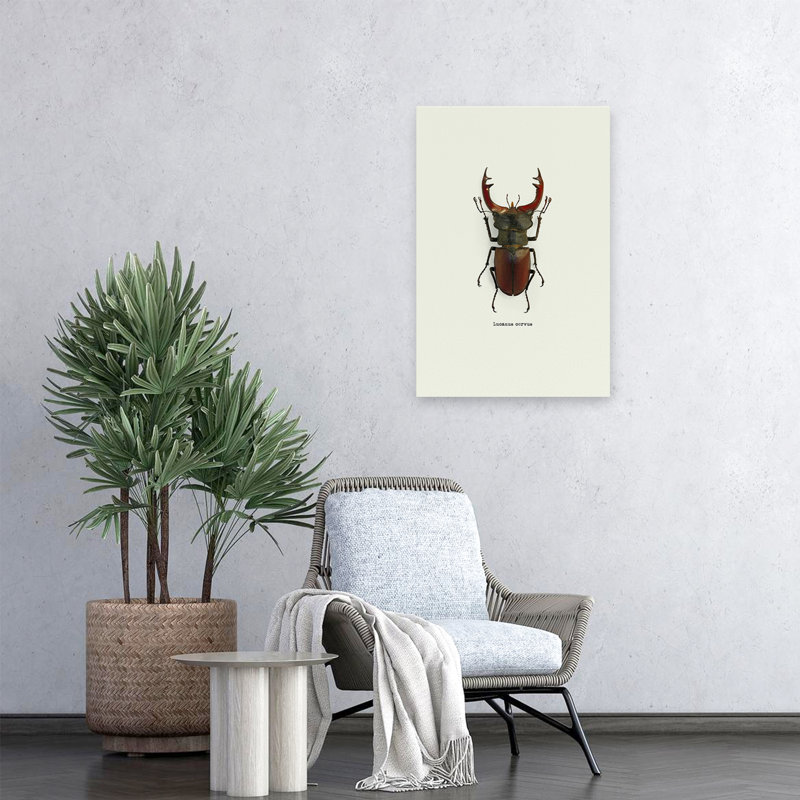 Coléoptère rouge - art animaux et insectes, H 24 po x l 16 po