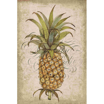 " Pineapple Study II " by Timothy O' Toole Painting Print