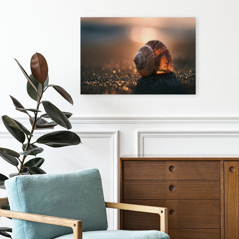 «Golden Hour», impression d'art mural coquillage paisible et serein, 16" H x 24" W