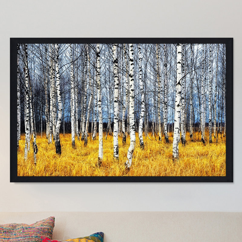 Millwood Pines 'Birch Trees 2' - Picture Frame Photograph Print ...