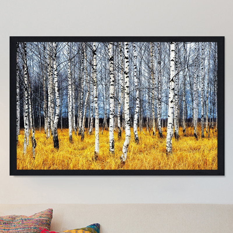 «Birch Trees 2», reproduction de photo encadrée, H 27,5 po x l 39,5 po x P 0,75 po