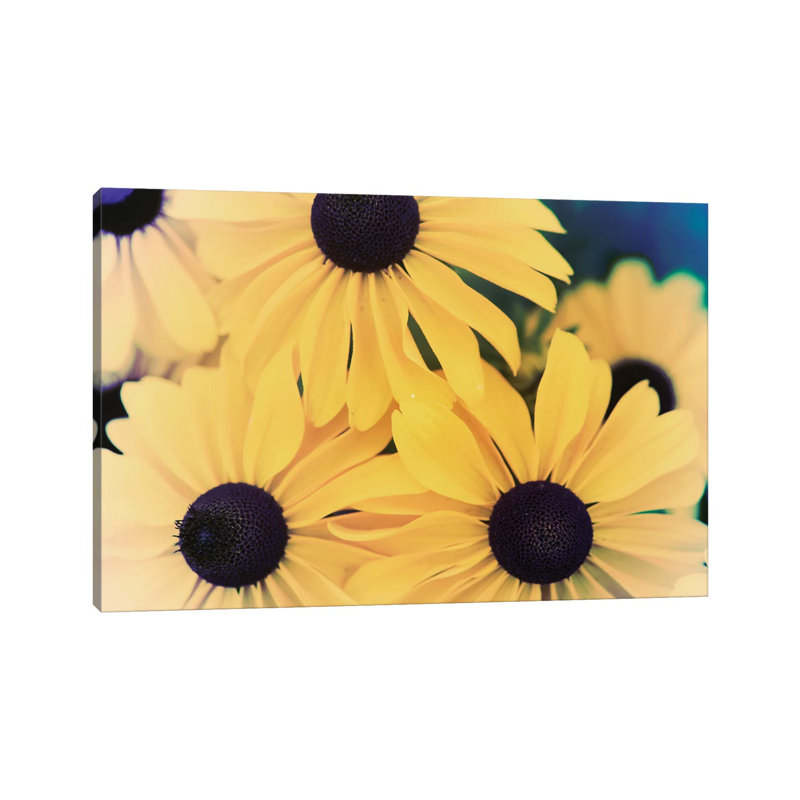 Susans II 1 Piece Wrapped Canvas Wall Art, 30.48 cm H x 45.72 cm W