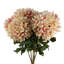 Plastic, Silk Artificial Arrangement-89222314