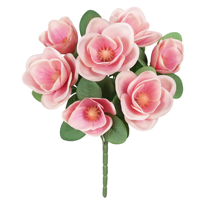 Magnolia, Rose fuchsia
