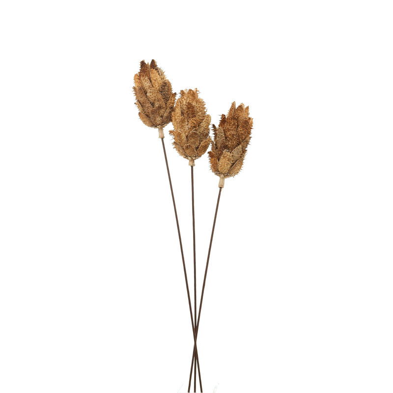 Aneissa Arrangement