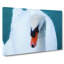 Print-1477064850