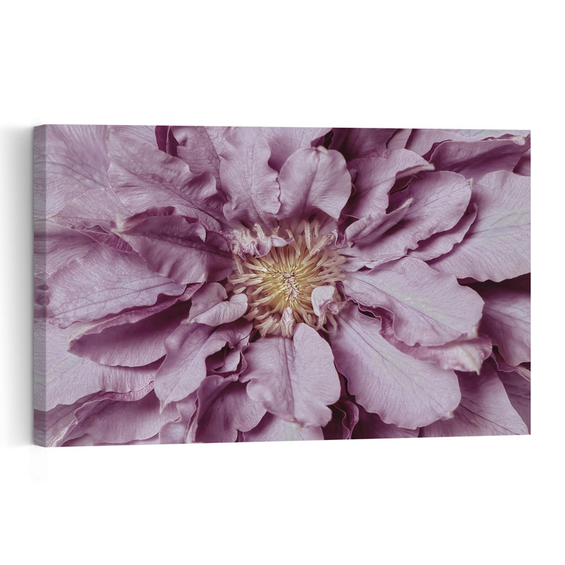 Purple Petal Bloom Abstract Delicate Elegant Lavender Flower Nature Wall Art Print 1 Piece Wrapped Canvas Wall Art