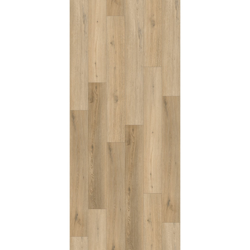 Domaine | Chêne 7,36 po x 48 po x 2,5 mm / 20mil