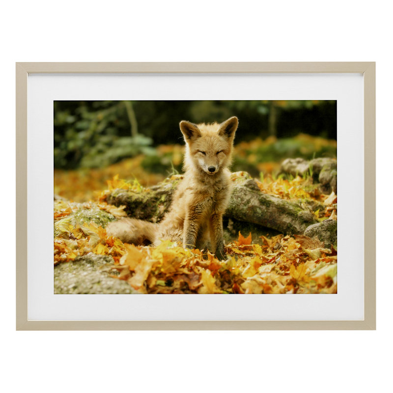 «Sleepy Fall Fox in Autumn», reproduction sous verre encadrée, design par Carrie Ann Grippo-Pike, H 14 po x l 20 po