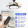 Maryann 42'' Retractable Ceiling Fan DC Motor with LED Lights and Remote