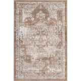 Parrado Ikat Indoor Rug