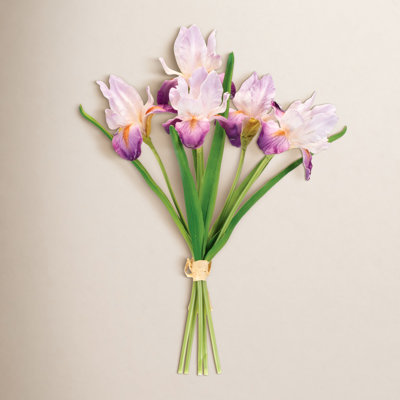 Iris Floral Stems