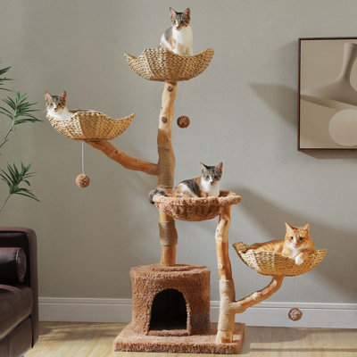 Tour pour arbre à chat 59 "avec branche naturelle en bois massif 59 po, panier en osier tressé à la main, condo et hamac doux, poteau à griffes