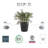 Remedios Pot Planter-1303567457