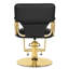 Fauteuil de coiffeur coiffeuse en cuir PU Inbox Zero-1814010781