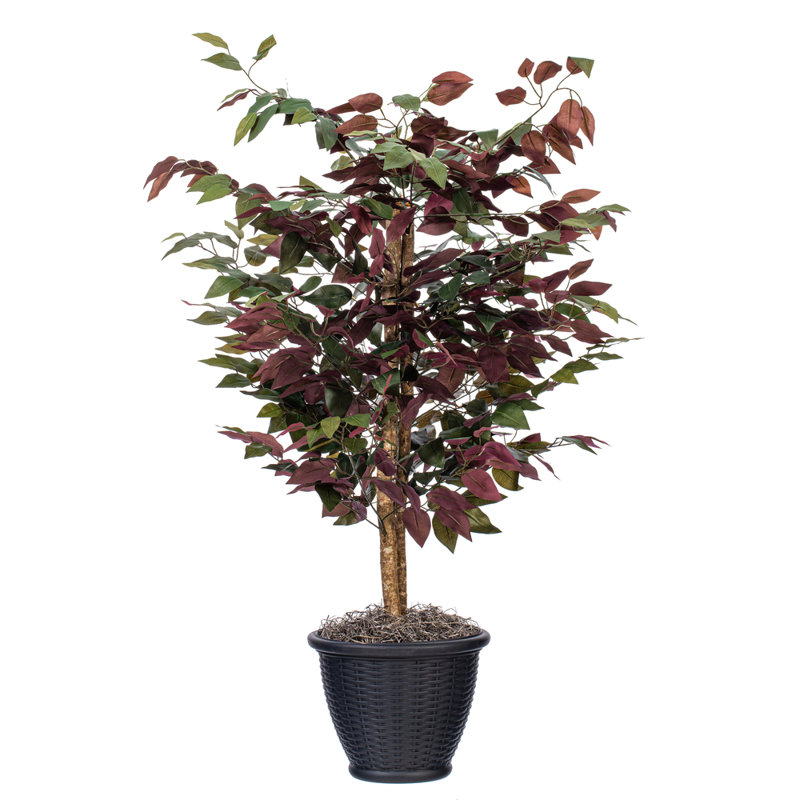 Arbre en pot artificiel de luxe Capensia, gris