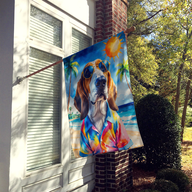 Drapeau de la maison esquimau américain, Basset hound