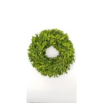 CHOOSE 6, 8 OR 10 Small Mini Preserved Boxwood Wreath w/Sheer  Ribbon-Year Round Wreath-Farmhouse Decor-Christmas-Wedding-Spring