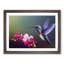 Unreal Floral Hummingbird - Framed Print-427273353-427273357