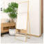Miroir pleine longueur Golden Alloy, 65 po x 24 po 3 po, 25 lb