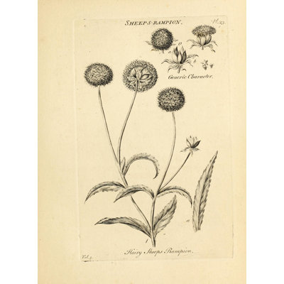 Botanique 21