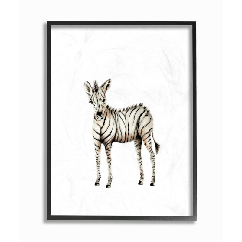 «Baby Zebra Illustration», art mural, Giclée encadrée noir minuit, H 20 po x l 16 po