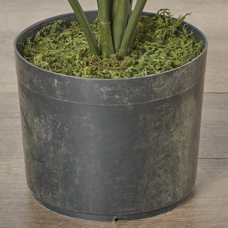 Palmier artificiel Callum en pot, H 48 po