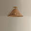 Richard Semi Flush-1270861964
