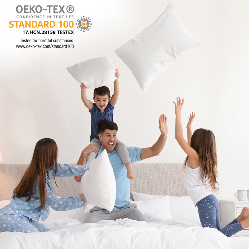 Throw Pillow Set Of 4 Indoor/Outdoor Reversible Pillow Insert (Set of 4)