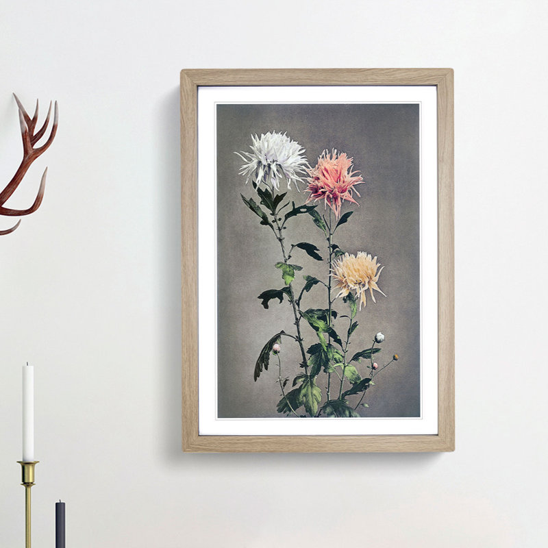 Pretty Chrysanthemums by Ogawa Kazumasa - Picture Frame Painting Print, 48cm H x 36cm W x 2cm D, Oak Framed