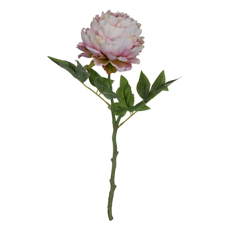 Peony Arrangement