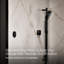 Interface de douche à double sortie DTV Mode ™ avec inverseur Eco-Mode-48592084-97877388