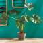Faux Elephant Ear Plant in Ceramic Pot