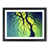Black Framed selected