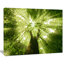 Sunlight Peeking Through Green Tree - impression d'art graphique-712535470-712535380