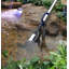 Aspirateur Bashiri Pond