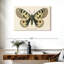 Brampt natures papillon III-107869853