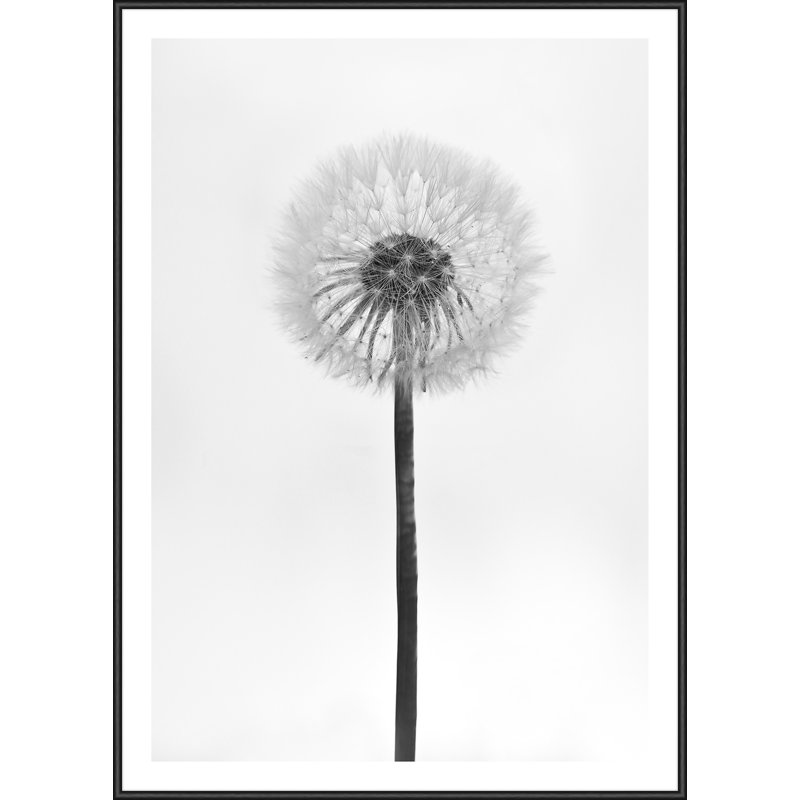Single Picture Frame Print
