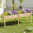 Outdoor Raised Garden Bed With Legs 73x23x30in Wood Planter Box With Divider Panel-159864000