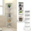 Birender Corner Bookcase