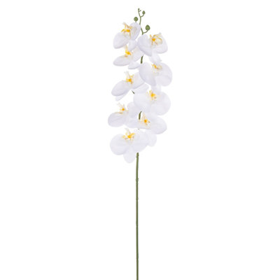 Tige d'orchidée 35 po
