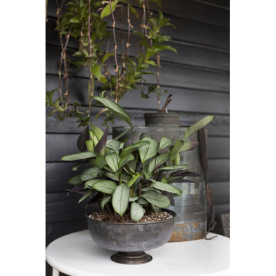 Table Vase 1