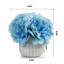 Arrangements floraux d'hortensias en pot-76145645
