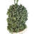35'' Faux Boxwood Topiary in Pot