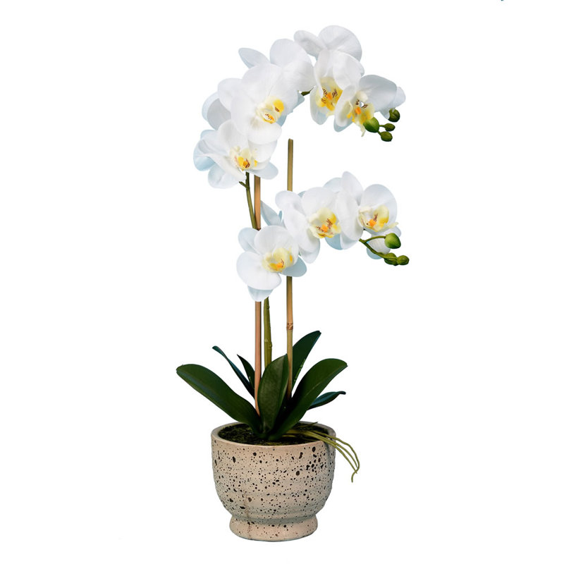 Arrangement floral artificiel phalaenopsis en pot