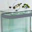 Aquarium Minimalist-103104952-103104950
