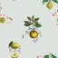 Lemon Toile 33' L x 20.5" W Wallpaper Roll-80058471